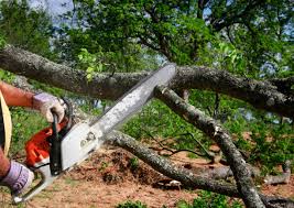 Best Utility Line Clearance  in Marrero, LA