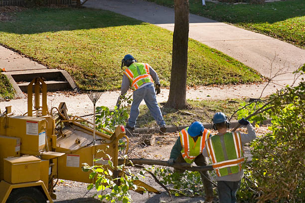 Best Seasonal Cleanup (Spring/Fall)  in Marrero, LA